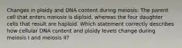 Changes in ploidy and DNA content during meiosis: The parent cell that enters meiosis is diploid, whereas the four daughter cells that result are haploid. Which statement correctly describes how cellular DNA content and ploidy levels change during meiosis I and meiosis II?