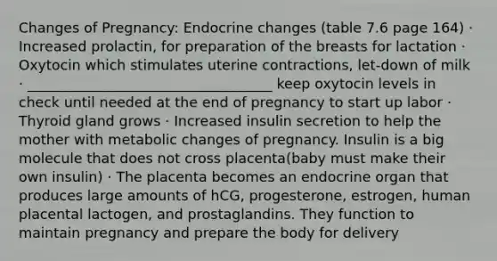 Changes of Pregnancy: Endocrine changes (table 7.6 page 164) · Increased prolactin, for preparation of the breasts for lactation · Oxytocin which stimulates uterine contractions, let-down of milk · ___________________________________ keep oxytocin levels in check until needed at the end of pregnancy to start up labor · Thyroid gland grows · Increased insulin secretion to help the mother with metabolic changes of pregnancy. Insulin is a big molecule that does not cross placenta(baby must make their own insulin) · The placenta becomes an endocrine organ that produces large amounts of hCG, progesterone, estrogen, human placental lactogen, and prostaglandins. They function to maintain pregnancy and prepare the body for delivery