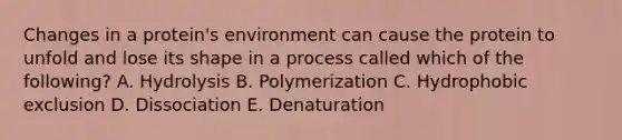 Changes in a protein's environment can cause the protein to unfold and lose its shape in a process called which of the following? A. Hydrolysis B. Polymerization C. Hydrophobic exclusion D. Dissociation E. Denaturation