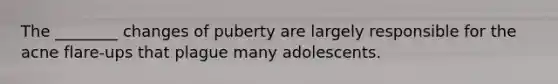 The ________ changes of puberty are largely responsible for the acne flare-ups that plague many adolescents.