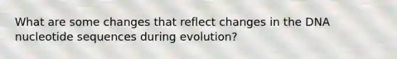 What are some changes that reflect changes in the DNA nucleotide sequences during evolution?