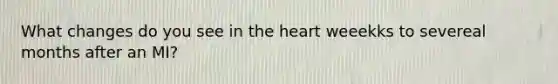 What changes do you see in the heart weeekks to severeal months after an MI?