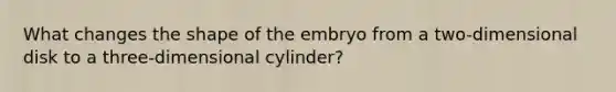 What changes the shape of the embryo from a two-dimensional disk to a three-dimensional cylinder?