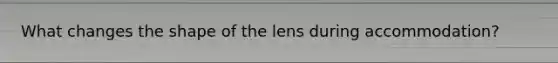 What changes the shape of the lens during accommodation?