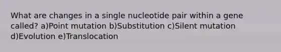 What are changes in a single nucleotide pair within a gene called? a)Point mutation b)Substitution c)Silent mutation d)Evolution e)Translocation