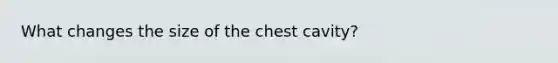 What changes the size of the chest cavity?