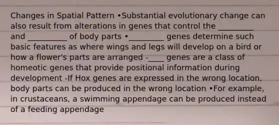 Changes in Spatial Pattern •Substantial evolutionary change can also result from alterations in genes that control the _________ and __________ of body parts •_________ genes determine such basic features as where wings and legs will develop on a bird or how a flower's parts are arranged -____ genes are a class of homeotic genes that provide positional information during development -If Hox genes are expressed in the wrong location, body parts can be produced in the wrong location •For example, in crustaceans, a swimming appendage can be produced instead of a feeding appendage