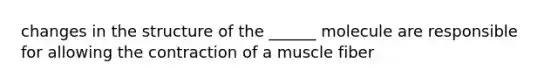 changes in the structure of the ______ molecule are responsible for allowing the contraction of a muscle fiber