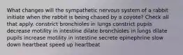 What changes will the sympathetic nervous system of a rabbit initiate when the rabbit is being chased by a coyote? Check all that apply. constrict bronchioles in lungs constrict pupils decrease motility in intestine dilate bronchioles in lungs dilate pupils increase motility in intestine secrete epinephrine slow down heartbeat speed up heartbeat