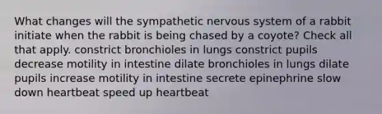 What changes will the sympathetic nervous system of a rabbit initiate when the rabbit is being chased by a coyote? Check all that apply. constrict bronchioles in lungs constrict pupils decrease motility in intestine dilate bronchioles in lungs dilate pupils increase motility in intestine secrete epinephrine slow down heartbeat speed up heartbeat