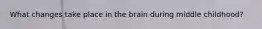 What changes take place in the brain during middle childhood?