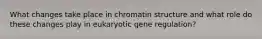 What changes take place in chromatin structure and what role do these changes play in eukaryotic gene regulation?