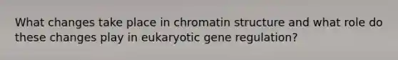 What changes take place in chromatin structure and what role do these changes play in eukaryotic gene regulation?