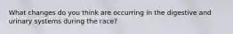 What changes do you think are occurring in the digestive and urinary systems during the race?