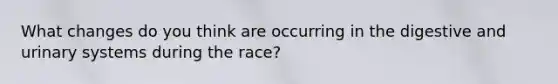 What changes do you think are occurring in the digestive and urinary systems during the race?