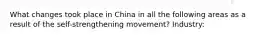 What changes took place in China in all the following areas as a result of the self-strengthening movement? Industry: