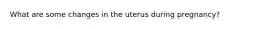 What are some changes in the uterus during pregnancy?