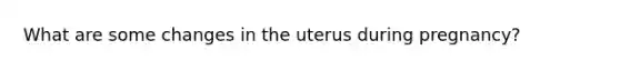 What are some changes in the uterus during pregnancy?