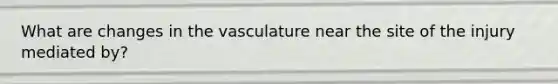 What are changes in the vasculature near the site of the injury mediated by?
