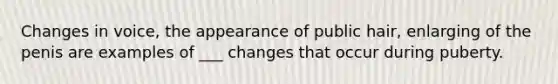 Changes in voice, the appearance of public hair, enlarging of the penis are examples of ___ changes that occur during puberty.