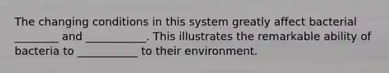 The changing conditions in this system greatly affect bacterial ________ and ___________. This illustrates the remarkable ability of bacteria to ___________ to their environment.