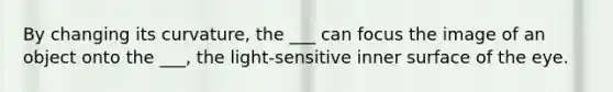 By changing its curvature, the ___ can focus the image of an object onto the ___, the light-sensitive inner surface of the eye.