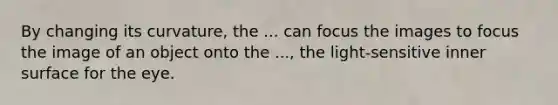 By changing its curvature, the ... can focus the images to focus the image of an object onto the ..., the light-sensitive inner surface for the eye.