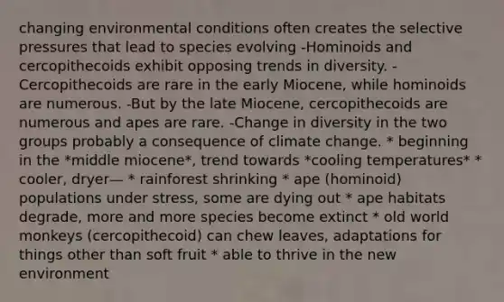 changing environmental conditions often creates the selective pressures that lead to species evolving -Hominoids and cercopithecoids exhibit opposing trends in diversity. -Cercopithecoids are rare in the early Miocene, while hominoids are numerous. -But by the late Miocene, cercopithecoids are numerous and apes are rare. -Change in diversity in the two groups probably a consequence of climate change. * beginning in the *middle miocene*, trend towards *cooling temperatures* * cooler, dryer— * rainforest shrinking * ape (hominoid) populations under stress, some are dying out * ape habitats degrade, more and more species become extinct * old world monkeys (cercopithecoid) can chew leaves, adaptations for things other than soft fruit * able to thrive in the new environment