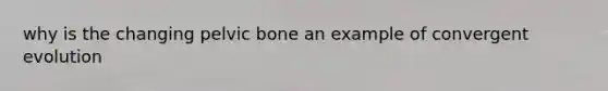 why is the changing pelvic bone an example of convergent evolution