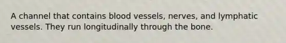 A channel that contains blood vessels, nerves, and lymphatic vessels. They run longitudinally through the bone.