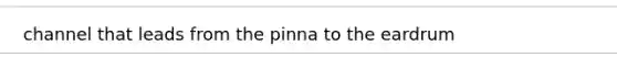 channel that leads from the pinna to the eardrum