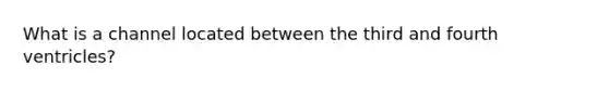 What is a channel located between the third and fourth ventricles?