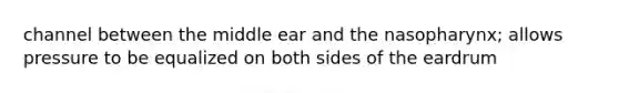 channel between the middle ear and the nasopharynx; allows pressure to be equalized on both sides of the eardrum