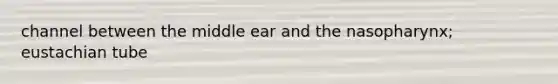 channel between the middle ear and the nasopharynx; eustachian tube