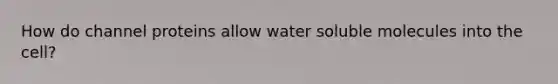 How do channel proteins allow water soluble molecules into the cell?