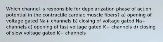 Which channel is responsible for depolarization phase of action potential in the contractile cardiac muscle fibers? a) opening of voltage gated Na+ channels b) closing of voltage gated Na+ channels c) opening of fast voltage gated K+ channels d) closing of slow voltage gated K+ channels