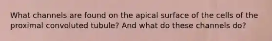 What channels are found on the apical surface of the cells of the proximal convoluted tubule? And what do these channels do?