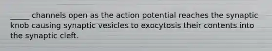 _____ channels open as the action potential reaches the synaptic knob causing synaptic vesicles to exocytosis their contents into the synaptic cleft.