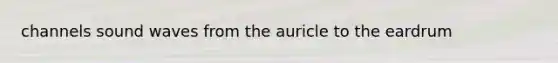 channels sound waves from the auricle to the eardrum