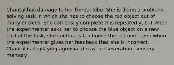 Chantal has damage to her frontal lobe. She is doing a problem-solving task in which she has to choose the red object out of many choices. She can easily complete this repeatedly, but when the experimenter asks her to choose the blue object on a new trial of the task, she continues to choose the red one, even when the experimenter gives her feedback that she is incorrect. Chantal is displaying agnosia. decay. perseveration. sensory memory.