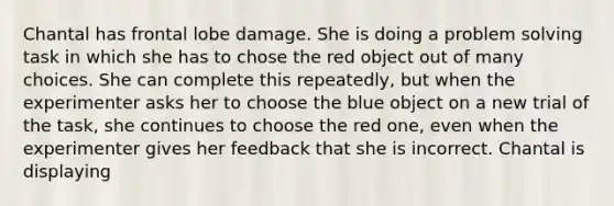 Chantal has frontal lobe damage. She is doing a problem solving task in which she has to chose the red object out of many choices. She can complete this repeatedly, but when the experimenter asks her to choose the blue object on a new trial of the task, she continues to choose the red one, even when the experimenter gives her feedback that she is incorrect. Chantal is displaying