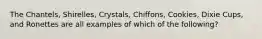 The Chantels, Shirelles, Crystals, Chiffons, Cookies, Dixie Cups, and Ronettes are all examples of which of the following?