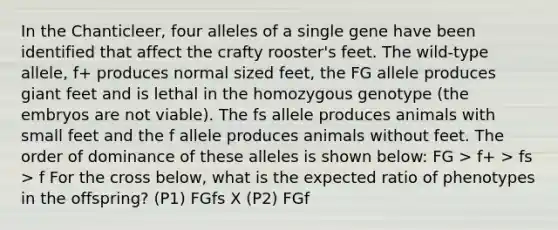 In the Chanticleer, four alleles of a single gene have been identified that affect the crafty rooster's feet. The wild-type allele, f+ produces normal sized feet, the FG allele produces giant feet and is lethal in the homozygous genotype (the embryos are not viable). The fs allele produces animals with small feet and the f allele produces animals without feet. The order of dominance of these alleles is shown below: FG > f+ > fs > f For the cross below, what is the expected ratio of phenotypes in the offspring? (P1) FGfs X (P2) FGf