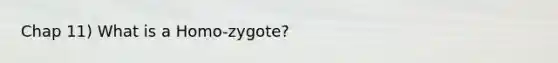 Chap 11) What is a Homo-zygote?