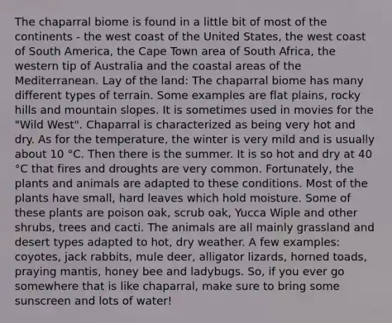 The chaparral biome is found in a little bit of most of the continents - the west coast of the United States, the west coast of South America, the Cape Town area of South Africa, the western tip of Australia and the coastal areas of the Mediterranean. Lay of the land: The chaparral biome has many different types of terrain. Some examples are flat plains, rocky hills and mountain slopes. It is sometimes used in movies for the "Wild West". Chaparral is characterized as being very hot and dry. As for the temperature, the winter is very mild and is usually about 10 °C. Then there is the summer. It is so hot and dry at 40 °C that fires and droughts are very common. Fortunately, the plants and animals are adapted to these conditions. Most of the plants have small, hard leaves which hold moisture. Some of these plants are poison oak, scrub oak, Yucca Wiple and other shrubs, trees and cacti. The animals are all mainly grassland and desert types adapted to hot, dry weather. A few examples: coyotes, jack rabbits, mule deer, alligator lizards, horned toads, praying mantis, honey bee and ladybugs. So, if you ever go somewhere that is like chaparral, make sure to bring some sunscreen and lots of water!