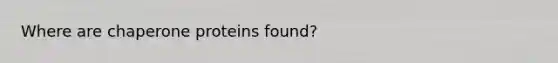 Where are chaperone proteins found?