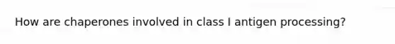 How are chaperones involved in class I antigen processing?