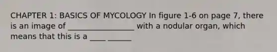 CHAPTER 1: BASICS OF MYCOLOGY In figure 1-6 on page 7, there is an image of _________________ with a nodular organ, which means that this is a ____ ______