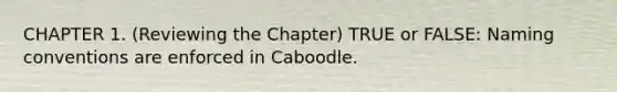 CHAPTER 1. (Reviewing the Chapter) TRUE or FALSE: Naming conventions are enforced in Caboodle.