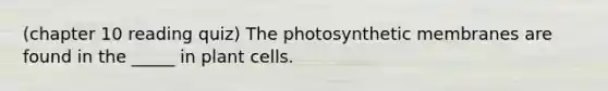 (chapter 10 reading quiz) The photosynthetic membranes are found in the _____ in plant cells.